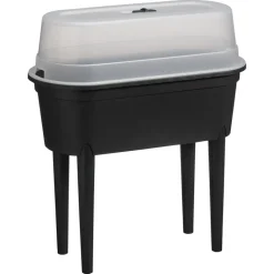 Kweektafel Zwart