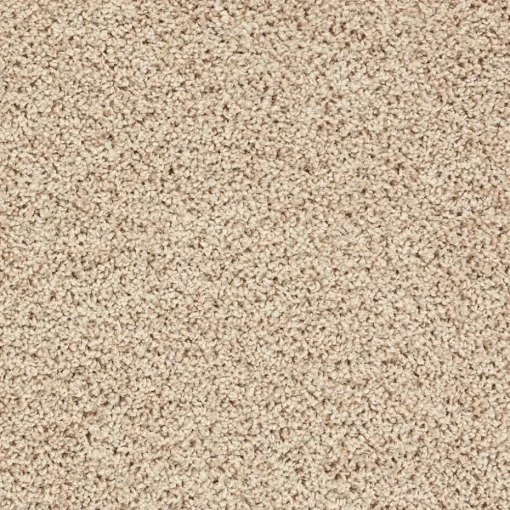 Staal Tapijt Anamosa Beige