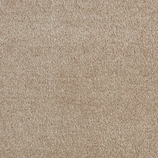Staal Tapijt Chard Beige