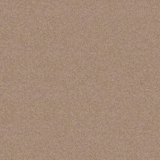 Staal Tapijt Cornell Beige